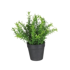 Zioła sztuczne w doniczce 20 cm SPLENDID