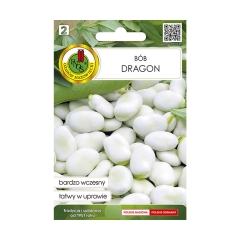 Bób Dragon nasiona PNOS