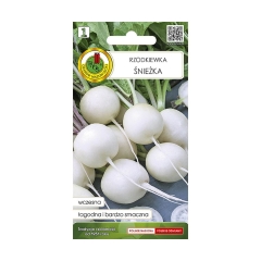 Rzodkiewka Śnieżka nasiona PNOS