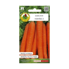 Marchew jadalna Nantes 3 nasiona PNOS
