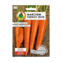 Marchew jadalna Pierwszy Zbiór nasiona PNOS
