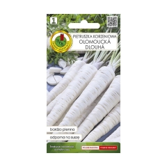 Pietruszka korzeniowa Olomuncka nasiona PNOS