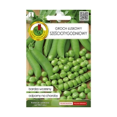 Groch łuskowy Sześciotygodniowy nasiona PNOS