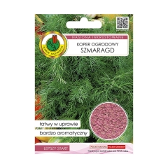 Koper Szamragd nasiona inkrustowane PNOS