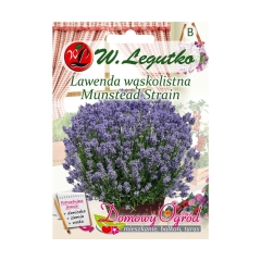 Lawenda lekarska nasiona tradycyjne 0.2 g W.Legutko