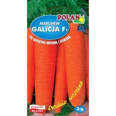 Marchew jadalna Galicja 3 g