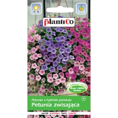 Petunia zwisająca 0,05g mix