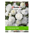 1b7ef919a00d7fadd32ca640c2be226d