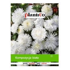 Kompozycja biała