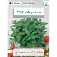 Mięta okrągło listna 0,1g