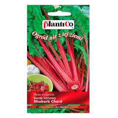 Burak liściowy Rhubarb Chard