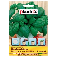 Nasiona na krążku bazylia
