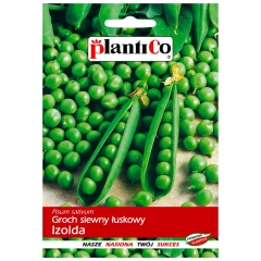 Groch konserwowy Izolda