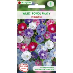 Wilec powój pnący mieszanka 4,00g