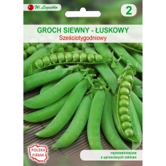 Groch łuskowy sześcio- tygodniowy 50,00g