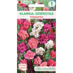 Klarkia Dzierotka mieszanka 1g