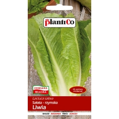 Sałata rzymska Liwia 1g
