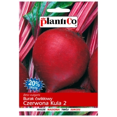 Burak ćwikłowy Czerwona Kula 2