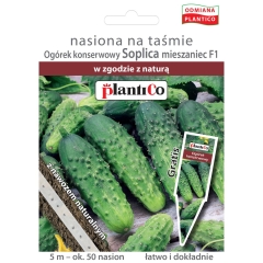 Nasiona na taśmie Ogórek gr. Soplica F1 140 szt/5m