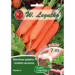 Marchew jadalna Nantes 3 taśma