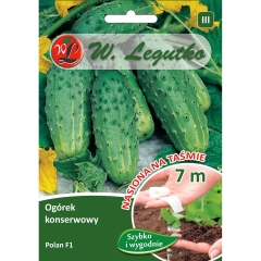 Ogórek Polan mieszaniec taśma