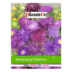 Kompozycja fioletowa