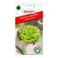 Sałata gładka zielona Mini Ogród