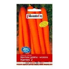 Marchew jadalna Nantejska