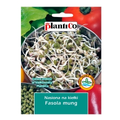 Nasiona na kiełki fasola mung