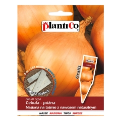 Cebula - nasiona na taśmie 5m