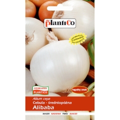Cebula Alibaba