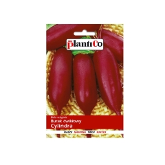 PlantiCo Burak ćwikłowy Cylindra 10g