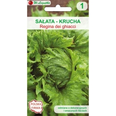 Sałata głowiasta Regina deighiacc 0,50g