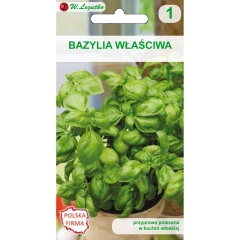 Bazylia właściwa zielono listna 1,00g