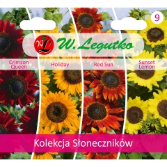 Kolekcja Słoneczników 2g