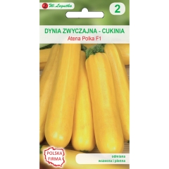 Dynia zwyczajna cukinia Atena Polk 2,00g