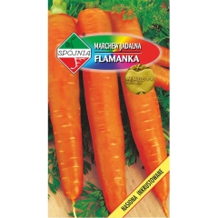 Marchew jadalna Flamanka Spójnia 5g