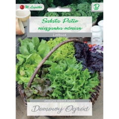 Sałata Patio mieszanka odmian 1g