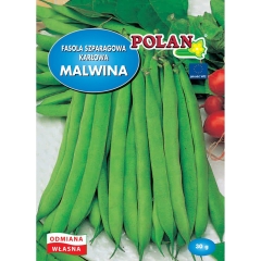 Fasola zwyczajna Malwina Polan 30g