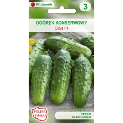 Ogórek gruntowy konserwowy Odys 5g