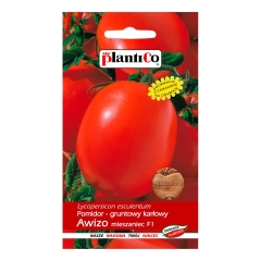 Pomidor Awizo F1