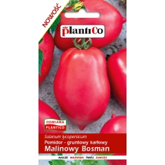 Pomidor Malinowy Bosman 0,5g