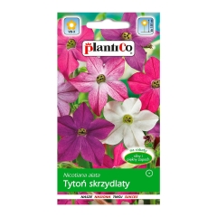 Tytoń ozdobny mix
