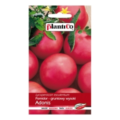 Pomidor Adonis