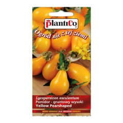 Pomidor Yellow Pearshaped