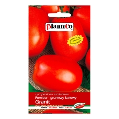 Pomidor Granit