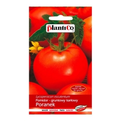 Pomidor Poranek