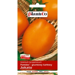 Pomidor Jokato 0,5g