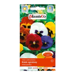 Bratek ogrodowy mix
