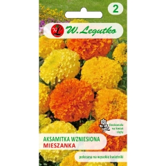 Aksamitka wzniesiona mieszanka 1 g wys. 15 cm